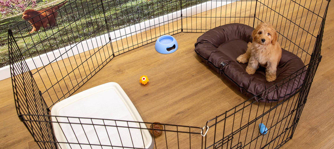 The Benefits of a Puppy Playpen