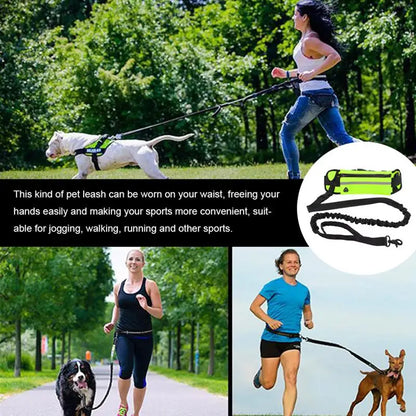 Hands Free Dog Leash for Running Walking