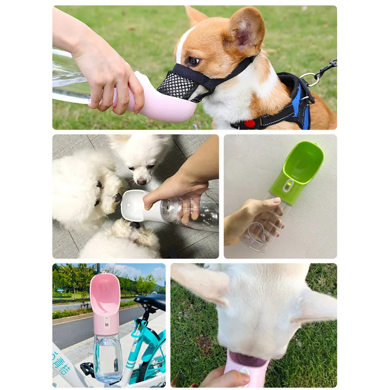 Dog Water Portable Bottle  and Feeder.