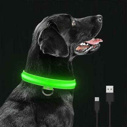 LED Glowing Dog Collar.