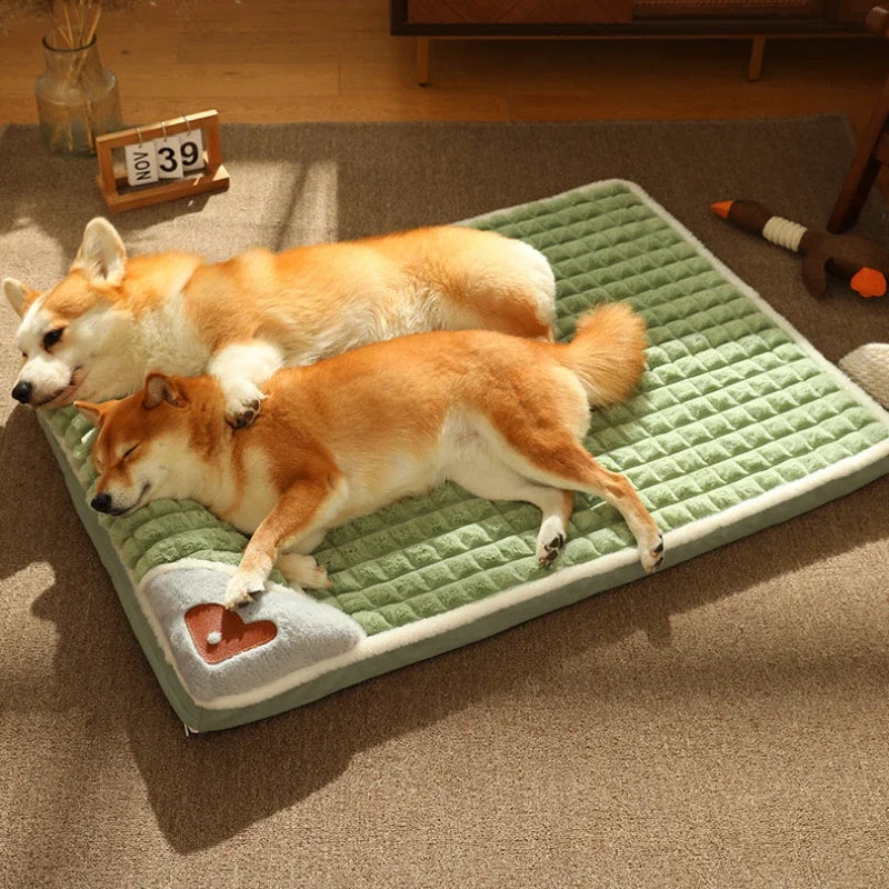 Calming Dog Beds for Small and Large Dogs