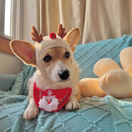 Christmas Reindeer Pet Hat.