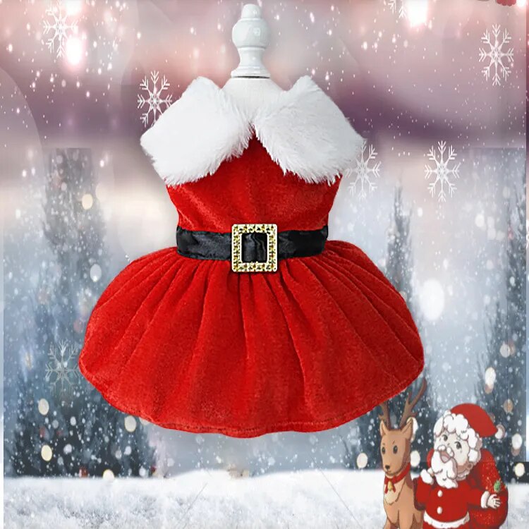 Santa Christmas Dress for dogs!.