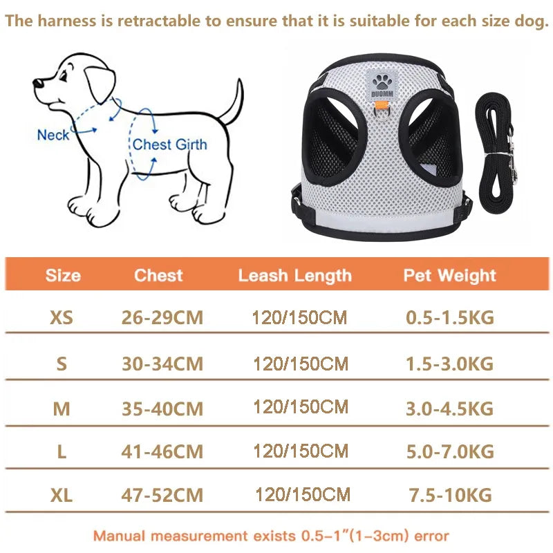 Reflective Safety Dog Harness and Leash Set for Small Medium Dogs