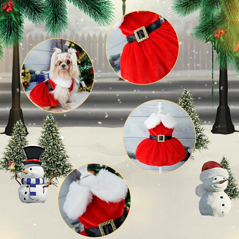 Santa Christmas Dress for dogs!.